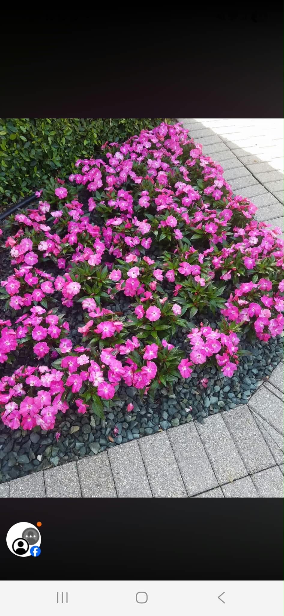 Paver installation Westlake FL